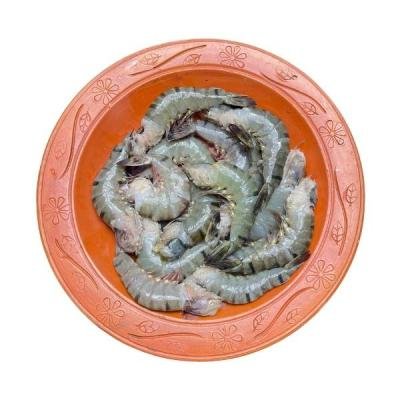 বাগদা চিংড়ি